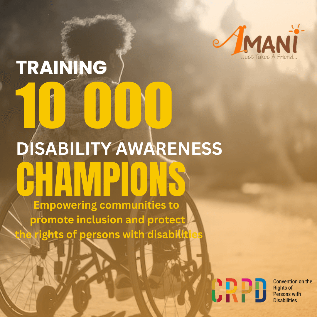Person in a wheelchair with text about training 10,000 disability awareness champions for community inclusion.